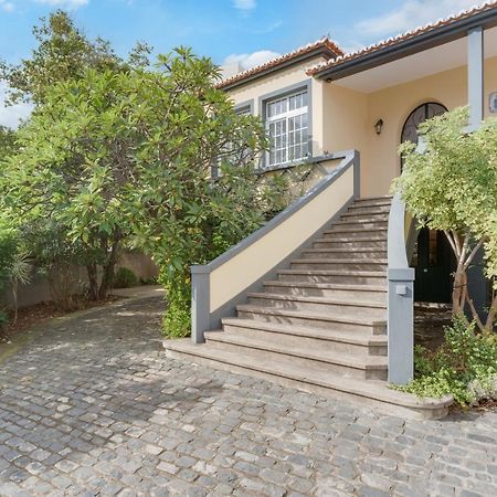 Casa Estufa 25 Villa Funchal  Eksteriør billede